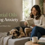 Essential Oils for Dog Anxiety used safely around a relaxed dog at home