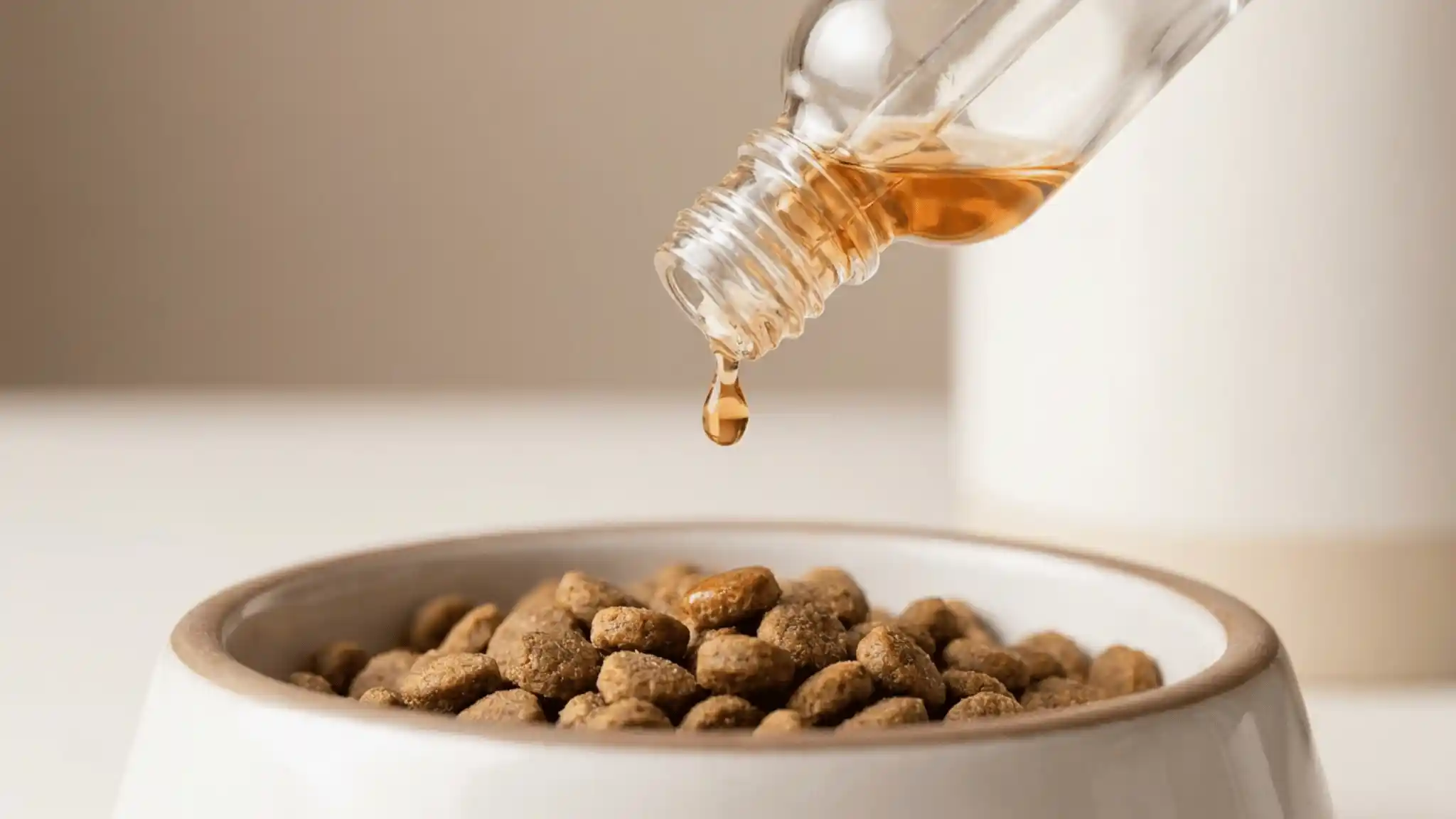 Dropper releasing a drop of CBD hemp oil into a dog's food bowl for proper dosing