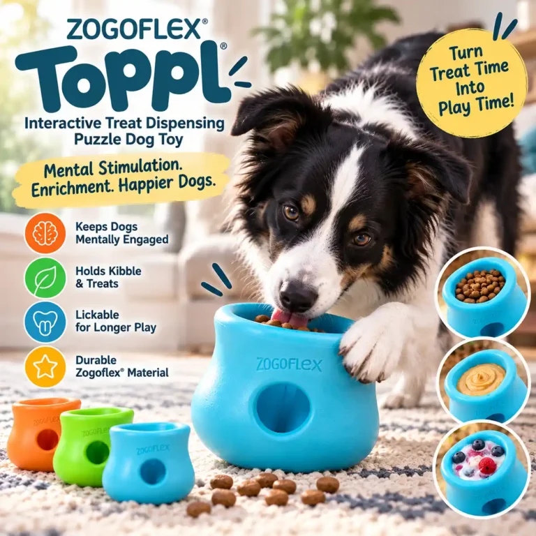 Border Collie licking food from a blue West Paw Toppl treat dispensing toy